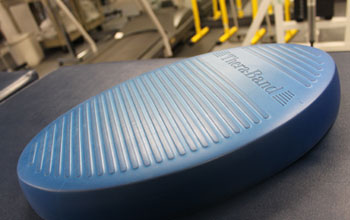TheraBand Stability Trainer