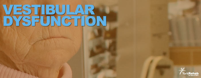 vestibular dysfunction treatment